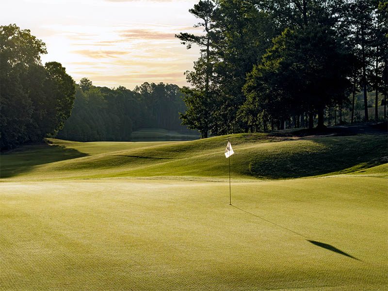 Putting green with a white flagstick and rolling hills.
